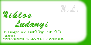 miklos ludanyi business card